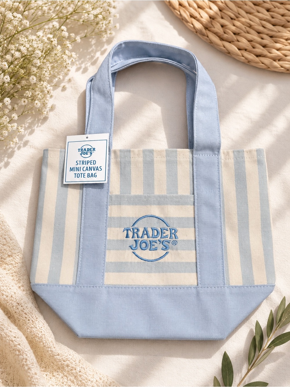 Trader Joe's Summer 2026 Blue
Striped Mini Canvas Tote Bag
NWT